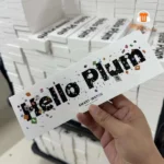 Hello Plum H15 Pro Smart Watch Series 10 Amoled Display